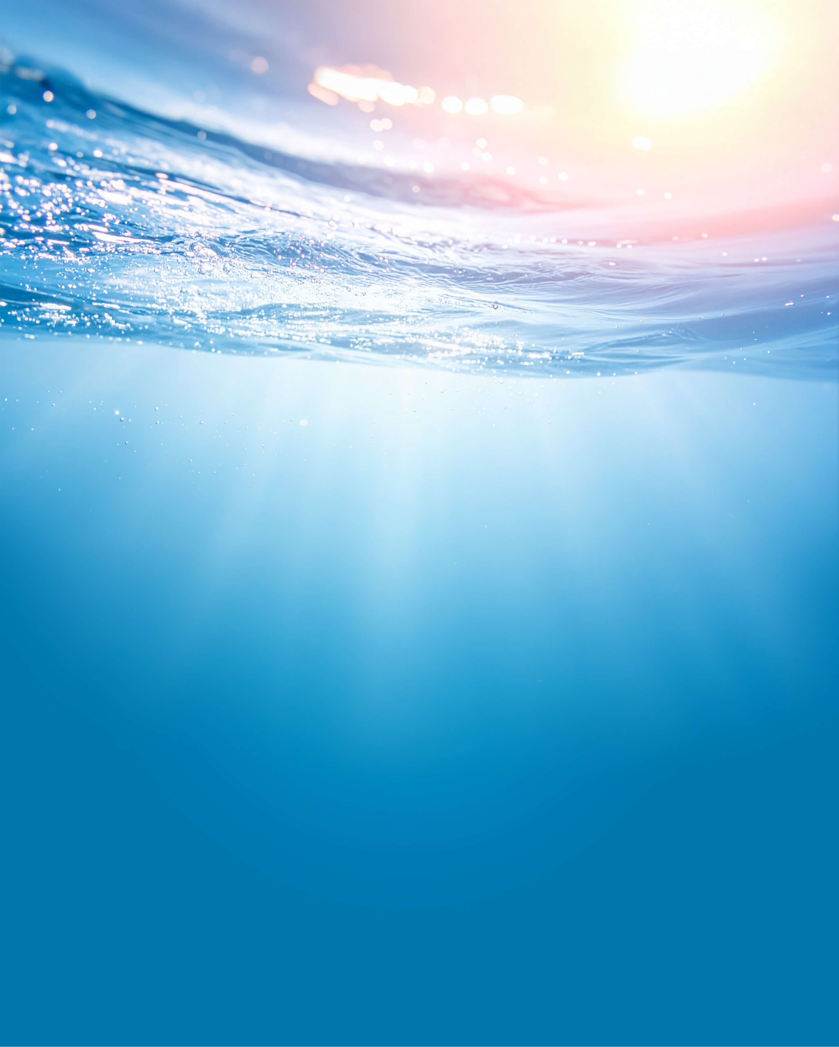 喜ばれる存在を目指して――今日も、未来へと歩み続ける。